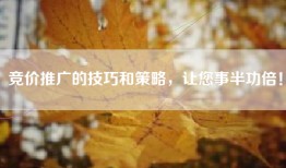 竞价推广的技巧和策略，让您事半功倍！