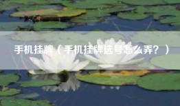 手机挂牌（手机挂牌选号怎么弄？）