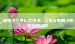 掌握小红书运营秘诀，合规策略助你规避违规风险