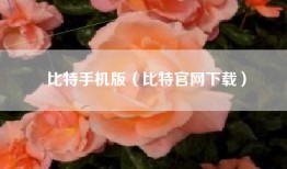 比特手机版（比特官网下载）