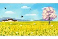 BDO国际出口中东找润华国际物流，BDO出口需要的资料