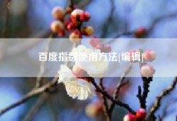 百度指数使用方法[编辑]