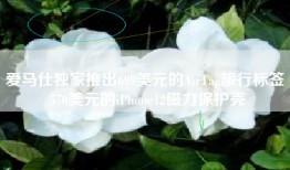 爱马仕独家推出699美元的AirTag旅行标签 570美元的iPhone12磁力保护壳