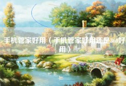 手机管家好用（手机管家好用还是360好用）