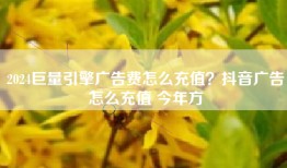 2024巨量引擎广告费怎么充值？抖音广告怎么充值 今年方