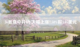 36氪盘中异动 大幅上涨7.58%报3.55美元