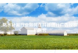 防水补漏行业如何在抖音进行广告投放与运营