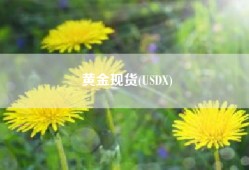 黄金现货(USDX)