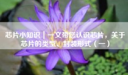芯片小知识｜一文带您认识芯片，关于芯片的类型、封装形式（一）