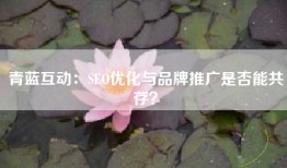 青蓝互动：SEO优化与品牌推广是否能共存？