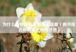 为什么有些排名靠前却无流量（揭开排名和流量之间的迷思）
