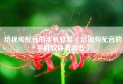 给视频配音的手机软件（给视频配音的手机软件有哪些）