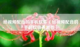 给视频配音的手机软件（给视频配音的手机软件有哪些）