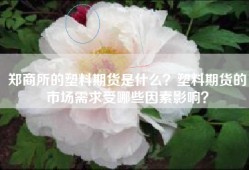 郑商所的塑料期货是什么？塑料期货的市场需求受哪些因素影响？
