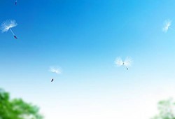 成都短租优选，短租成都，便捷住宿新体验