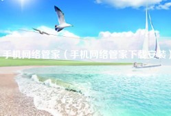 手机网络管家（手机网络管家下载安装）