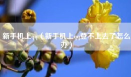 新手机上qq（新手机上qq登不上去了怎么办）