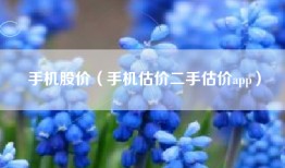 手机股价（手机估价二手估价app）