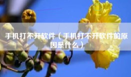 手机打不开软件（手机打不开软件的原因是什么）