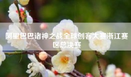 阿里巴巴诸神之战全球创客大赛浙江赛区总决赛