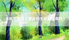 手机套便宜（便宜的手机套有毒吗）