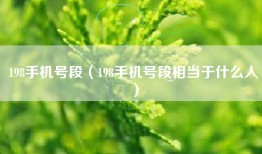 198手机号段（198手机号段相当于什么人）