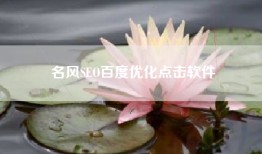名风SEO百度优化点击软件