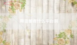 期货都有什么平台啊