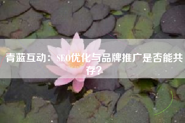 青蓝互动：SEO优化与品牌推广是否能共存？
