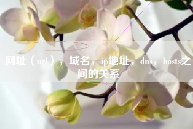 网址（url），域名，ip地址，dns，hosts之间的关系