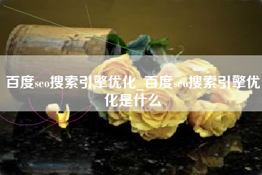 百度seo搜索引擎优化_百度seo搜索引擎优化是什么