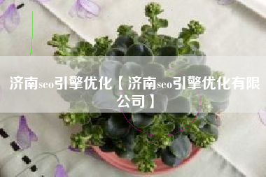 济南seo引擎优化【济南seo引擎优化有限公司】