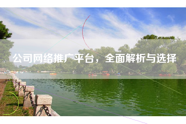 公司网络推广平台，全面解析与选择