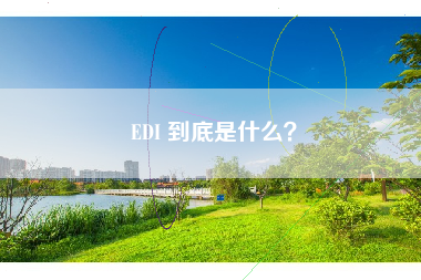 EDI 到底是什么？