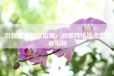百度搜索热度指数，洞察网络热点的重要指标