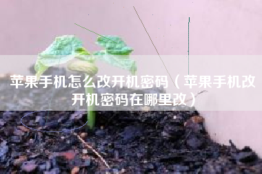 苹果手机怎么改开机密码（苹果手机改开机密码在哪里改）