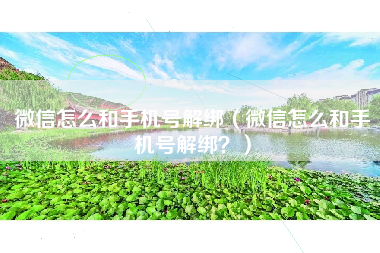 微信怎么和手机号解绑（微信怎么和手机号解绑？）