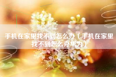 手机在家里找不到怎么办（手机在家里找不到怎么办华为）