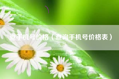 查手机号价格（查询手机号价格表）