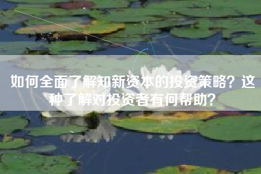 如何全面了解知新资本的投资策略？这种了解对投资者有何帮助？