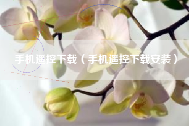 手机遥控下载（手机遥控下载安装）