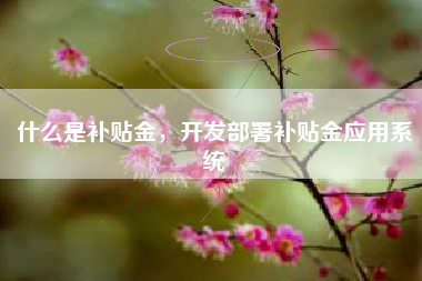 什么是补贴金，开发部署补贴金应用系统