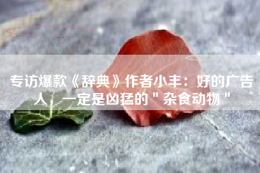 专访爆款《辞典》作者小丰：好的广告人，一定是凶猛的＂杂食动物＂