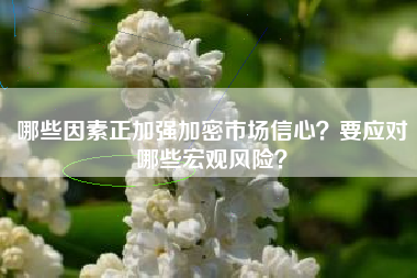 哪些因素正加强加密市场信心？要应对哪些宏观风险？